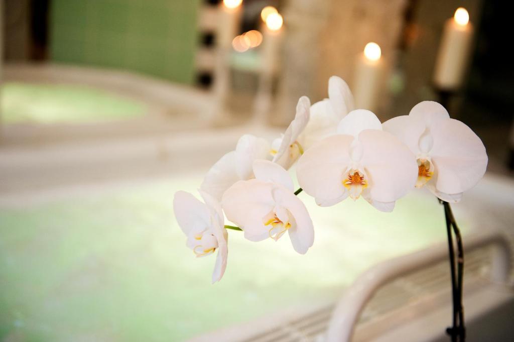 Ringhotel Vitalhotel Ambiente Bad Wilsnack Kültér fotó